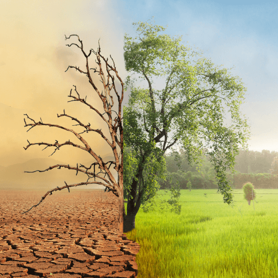 Miniaturka artykułu Gmina Oleśnica stawia na&nbsp;zrównoważony rozwój i&nbsp;ochronę środowiska