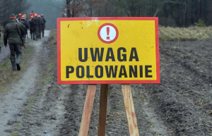 Miniaturka artykułu Plan polowań Koła Łowieckiego „Szarak” w Stopnicy