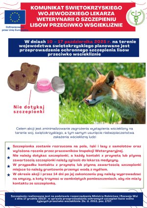 Miniaturka artykułu Jesienna akcja ochronnego szczepienia lisów przeciwko wściekliźnie na terenie woj. świętokrzyskiego