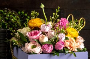 Miniaturka artykułu Życzenia z okazji Dnia Edukacji Narodowej