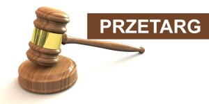 Miniaturka artykułu Przetarg dotyczący sprzedaży prawa użytkowania wieczystego do nieruchomości niezabudowanej