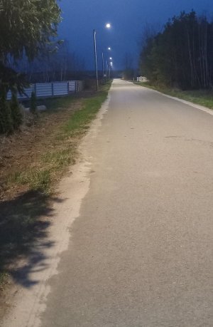 Miniaturka artykułu Odbiór końcowy oświetlenia ulicznego na&nbsp;ul.&nbsp;Zakościele