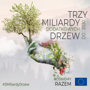 Miniaturka artykułu Trzy miliardy dodatkowych drzew do 2030 r.