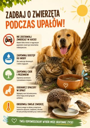 Miniaturka artykułu KOMUNIKAT: Ochrona zwierząt podczas fali upałów – apel do&nbsp;mieszkańców