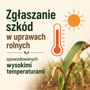 Miniaturka artykułu Możliwość zgłaszania szkód spowodowanych wysokimi temperaturami w&nbsp;uprawach jagodowych i&nbsp;warzywach