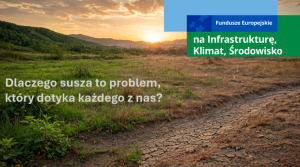 Miniaturka artykułu Dlaczego susza to problem, który dotyka każdego z nas?