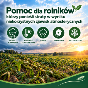 Miniaturka artykułu Pomoc dla poszkodowanych producentów rolnych