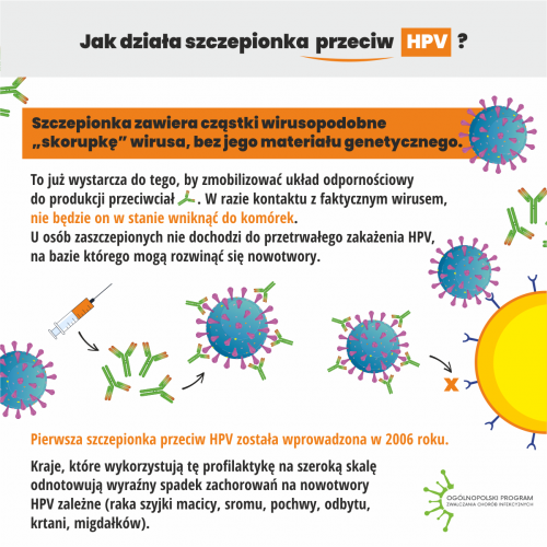 Szczepienia-przeciw-HPV infograph 6